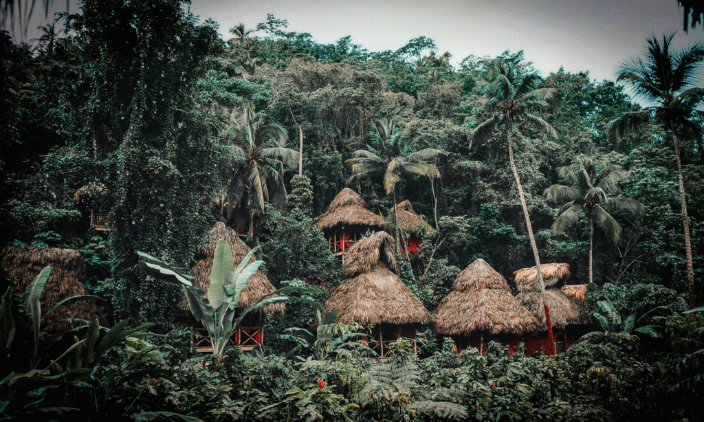 #78: Isolated Tribes & Layoffs